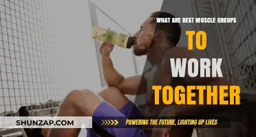 Effective Muscle Pairing: Best Groups to Train Together for Optimal Results