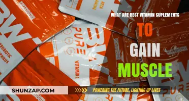 Top Muscle-Building Vitamin Supplements for Optimal Strength and Growth