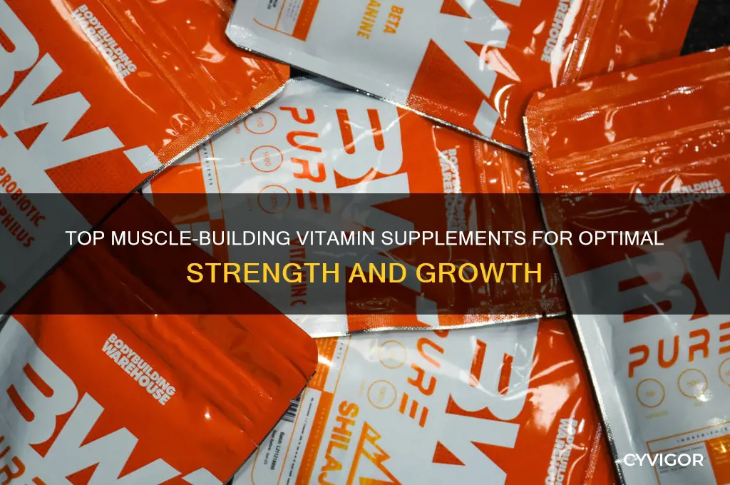 what are best vitamin suplements to gain muscle