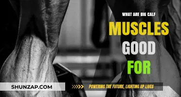 Unlocking the Power of Big Calf Muscles: Benefits and Exercises