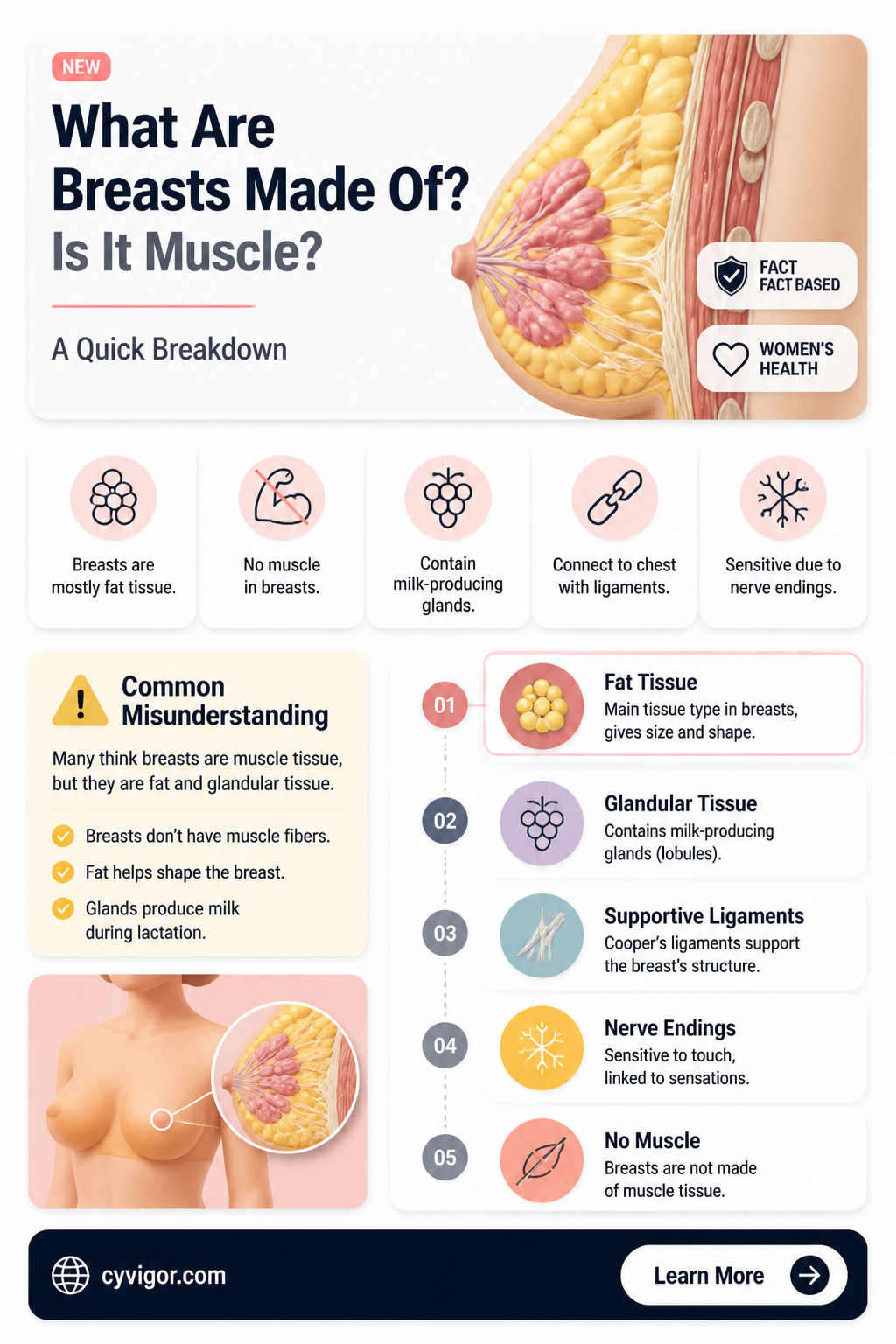 are breast a muscle