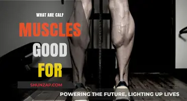 Unlocking the Power of Calf Muscles: Benefits and Exercises