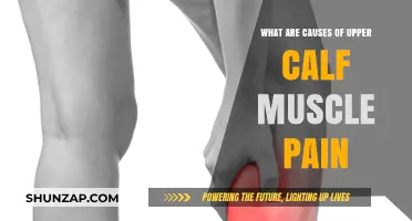 Understanding Upper Calf Muscle Pain: Causes and Triggers