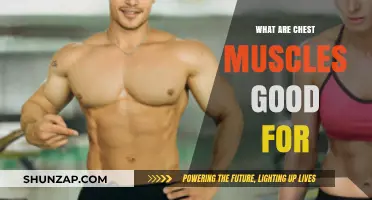 Unlocking the Power of Your Chest Muscles: A Comprehensive Guide