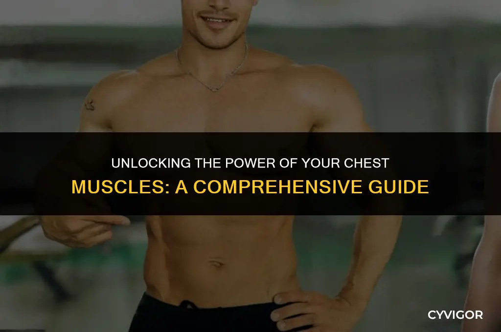 what are chest muscles good for
