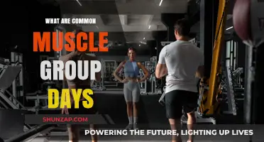Effective Muscle Group Splits for Optimal Weekly Workout Routines