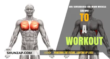 Mastering Workouts: Key Muscle Groups for Strength and Balance