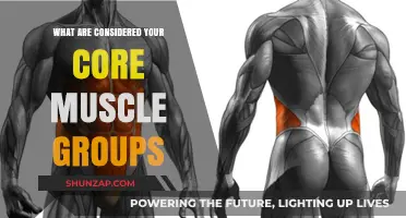 Understanding Your Core: Key Muscle Groups for Strength and Stability
