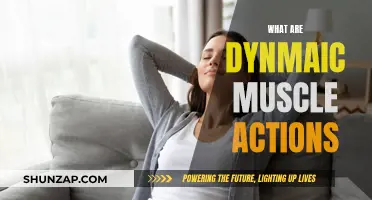 Understanding Dynamic Muscle Actions: Unlocking the Power of Movement