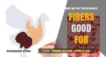 Unlocking Athletic Potential: The Power of Fast Twitch Muscle Fibers