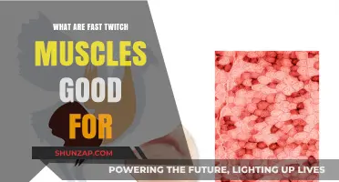 Unlocking Athletic Potential: The Power of Fast Twitch Muscles