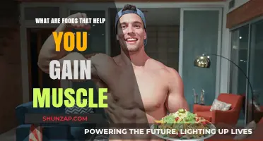 Muscle-Building Foods: Nutrient-Rich Choices to Fuel Your Fitness Goals
