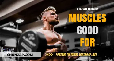 Unlocking Forearm Strength: Exploring the Benefits of Targeted Exercises