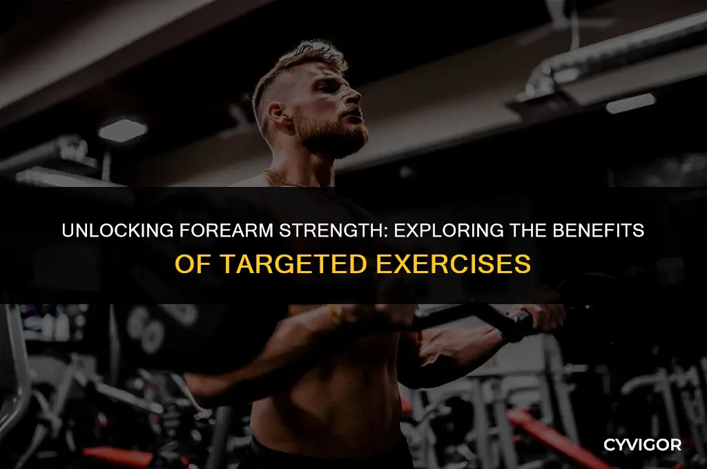 what are forearm muscles good for
