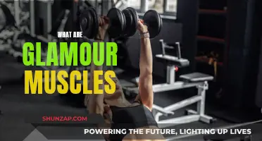 Glamour Muscles: The Secret to a Perfect Physique