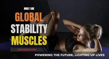 Stability Muscles: The Key to Global Body Balance