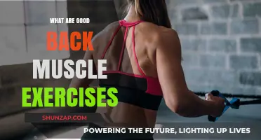 Strengthen Your Back: Effective Exercises for a Stronger You