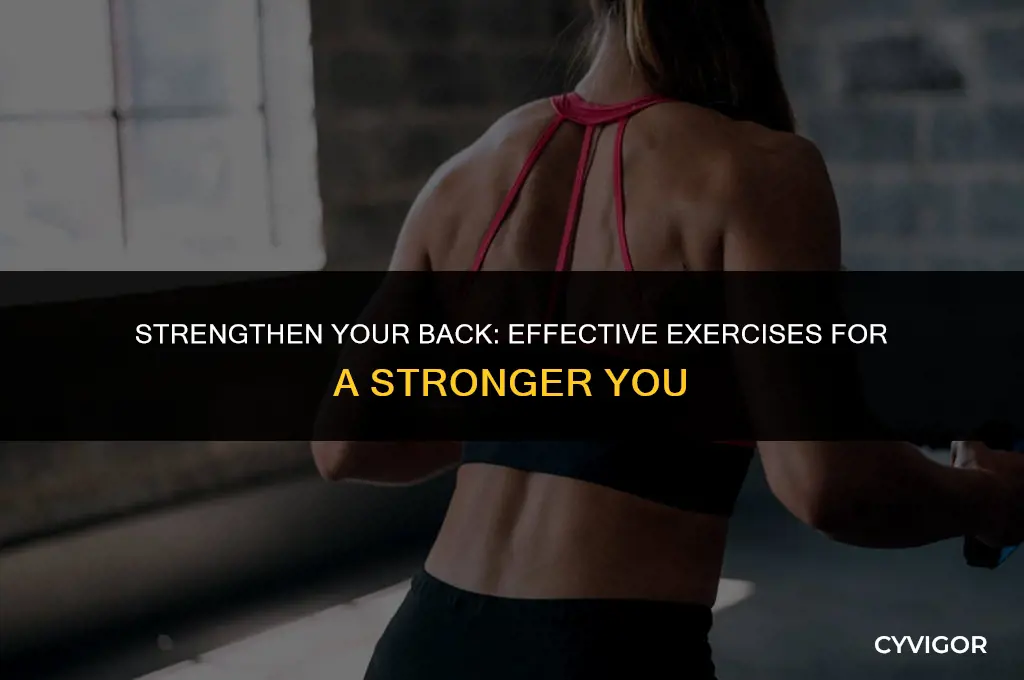 what are good back muscle exercises