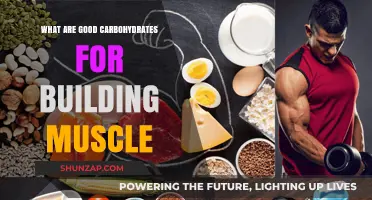 Fuel Your Gains: The Best Carbs for Muscle Building