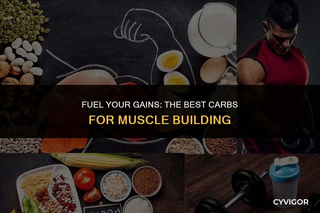 what are good carbohydrates for building muscle