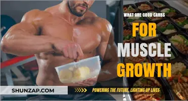 Fueling Your Gains: The Best Carbs for Muscle Growth
