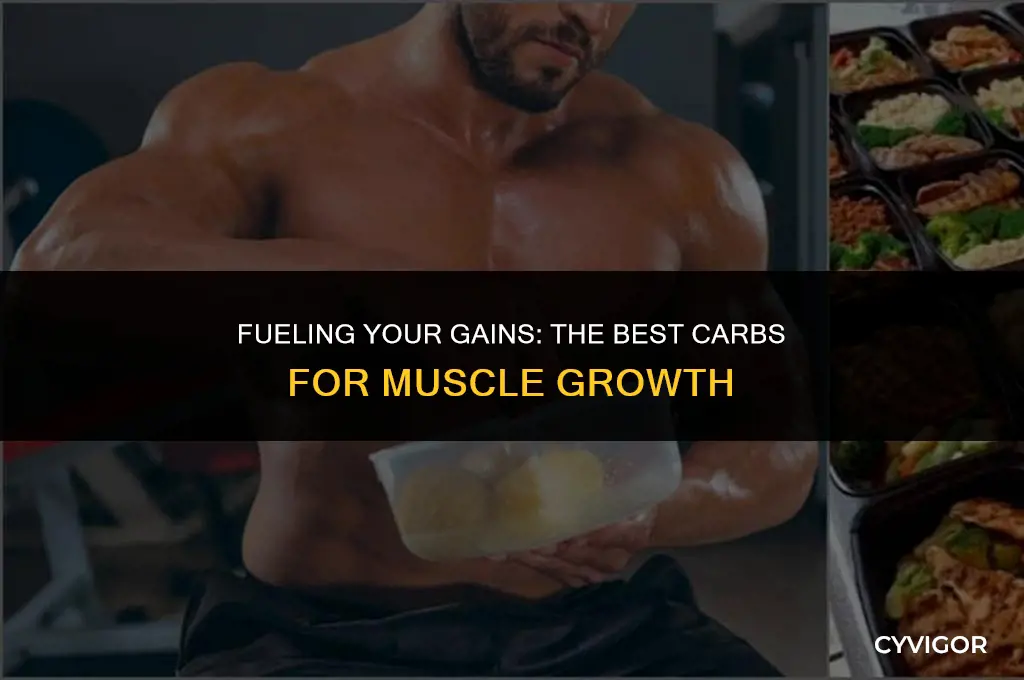 what are good carbs for muscle growth