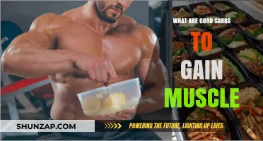 Fuel Your Muscle Growth: Top Carb Choices for Strength and Size