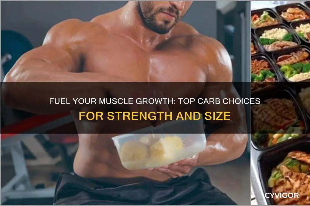what are good carbs to gain muscle
