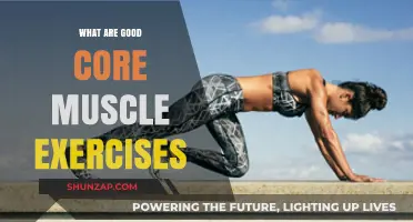Strengthen Your Core: Effective Exercises for a Stronger You