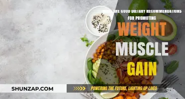 Effective Diet Strategies for Building Muscle Mass and Strength