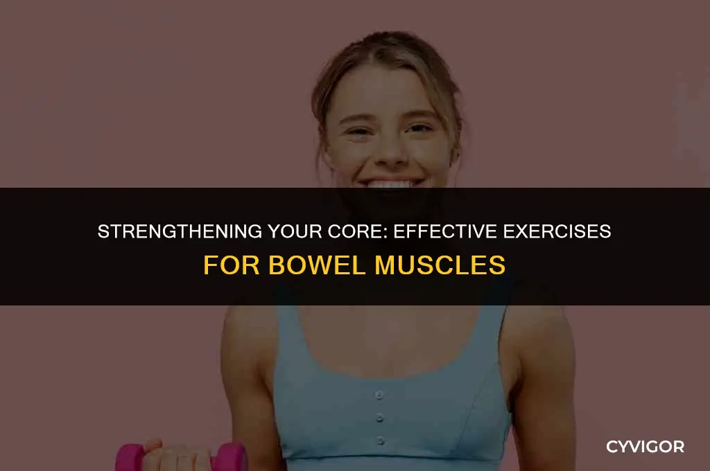what are good exercises for bowel muscles