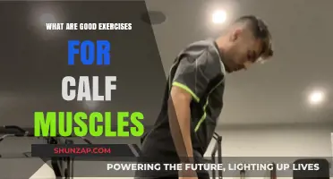 Effective Calf Muscle Exercises: Strengthen and Tone Your Lower Legs