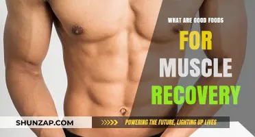 Fuel Your Recovery: Top Foods to Support Muscle Healing