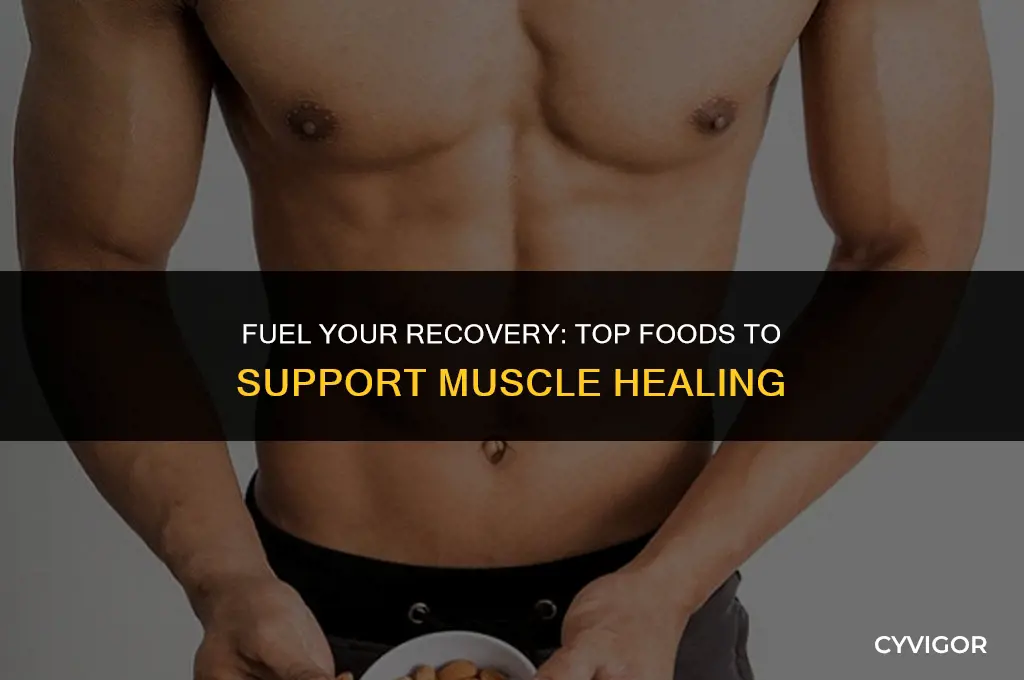 what are good foods for muscle recovery