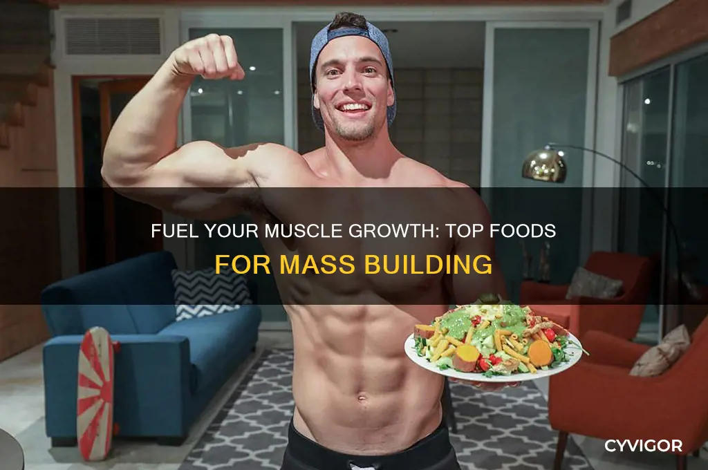 what are good foods to eat to gain muscle mass