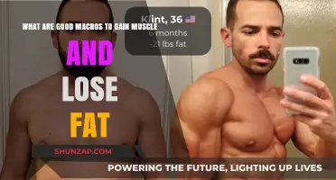 Optimal Macros for Muscle Gain and Fat Loss: A Balanced Approach