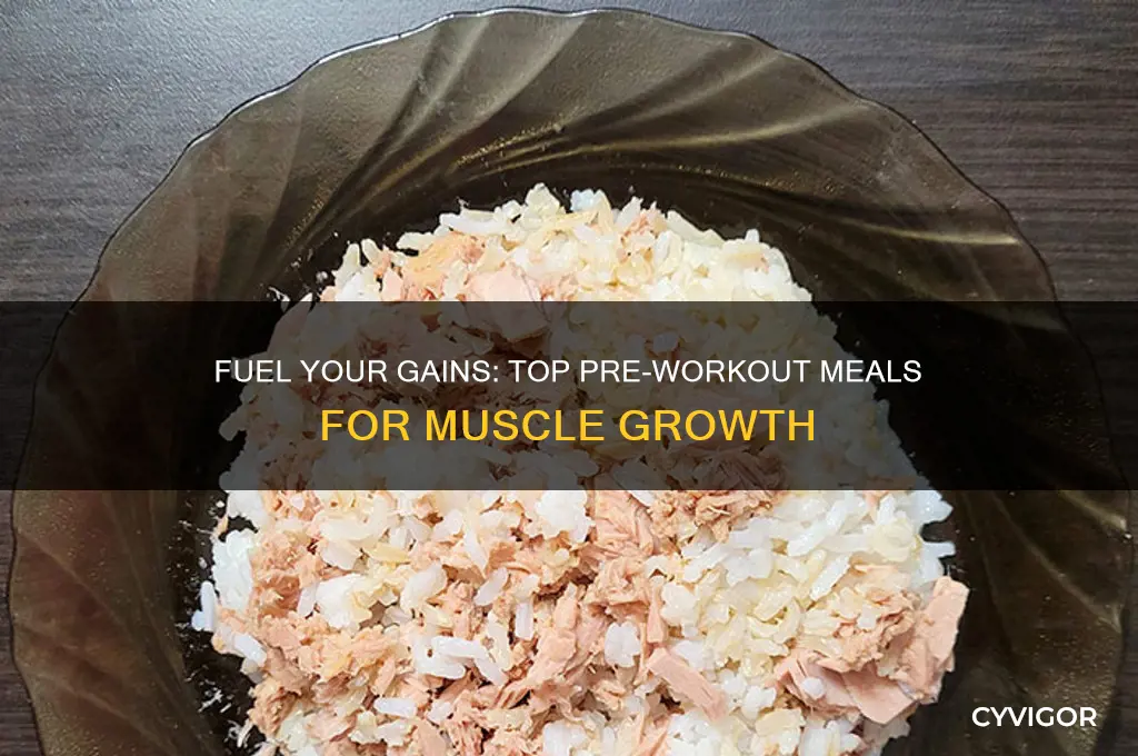 what are good meals pre to eat to gain muscle