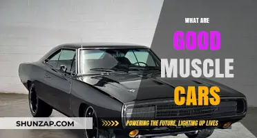 Revving Up the Classics: A Guide to Iconic Muscle Cars