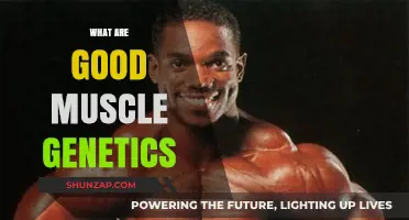 Unleashing Your Inner Strength: The Power of Good Muscle Genetics