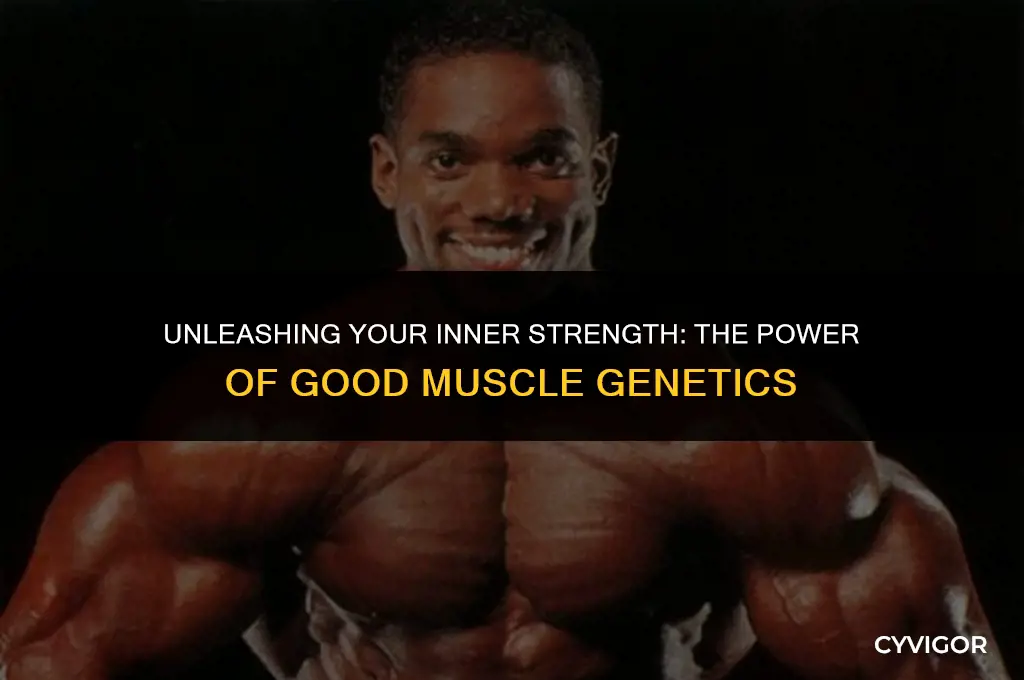 what are good muscle genetics