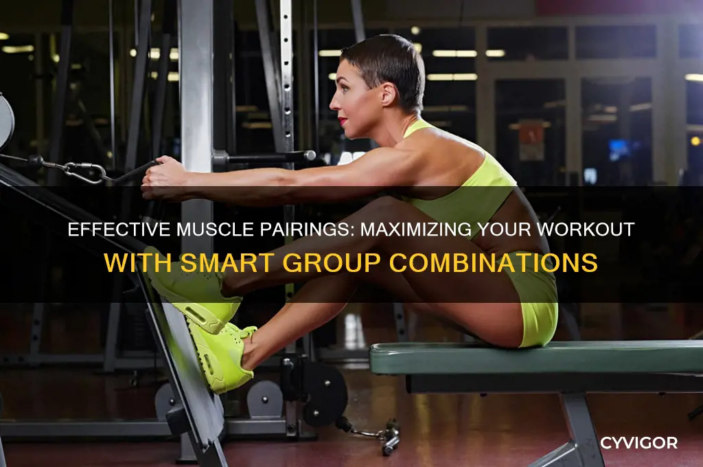 what are good muscle groups to workout together