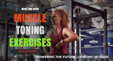 Effective Muscle Toning Exercises for a Sculpted Physique