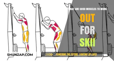Essential Ski Workout Muscles for Strength, Balance, and Endurance