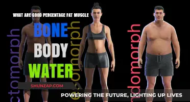 Understanding Body Composition: The Ideal Balance of Fat, Muscle, Bone, and Water