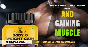 Effective Supplements for Weight Loss and Muscle Gain: A Guide