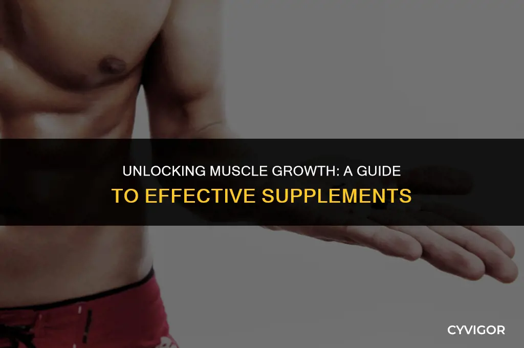 what are good supplements for muscle growth