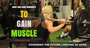 Effective Muscle-Building Workouts: Strategies for Strength and Size Gains