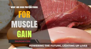 Top High-Protein Foods to Fuel Muscle Gain and Recovery
