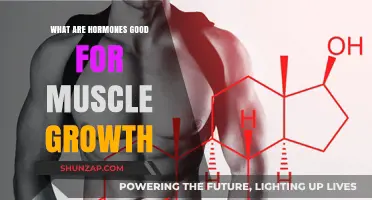 Unlocking Muscle Growth: The Power of Hormones in Fitness