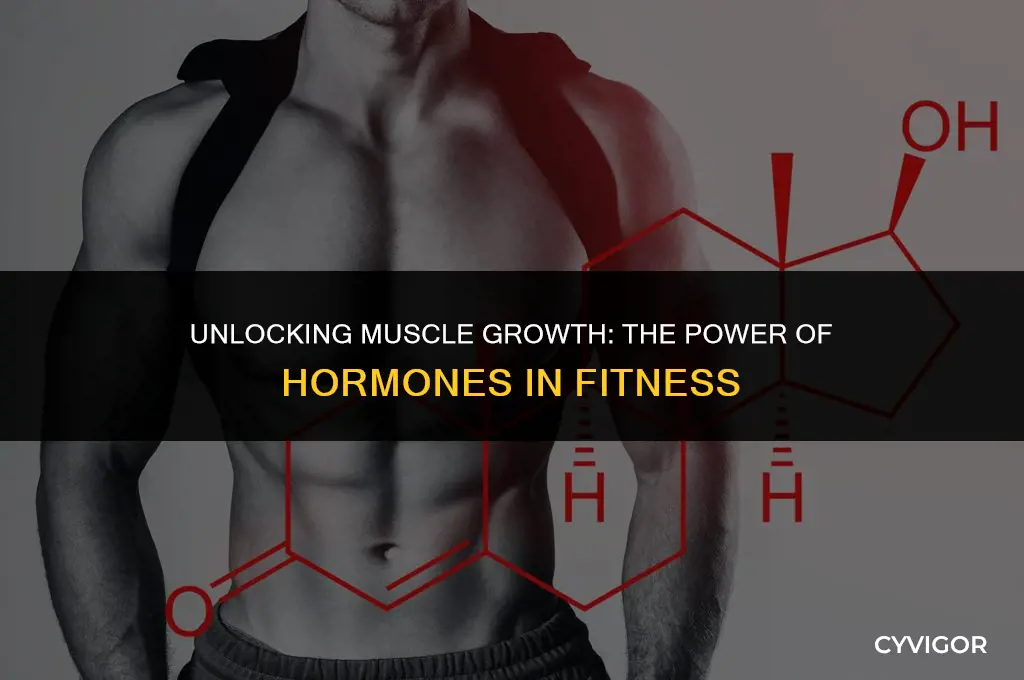 what are hormones good for muscle growth